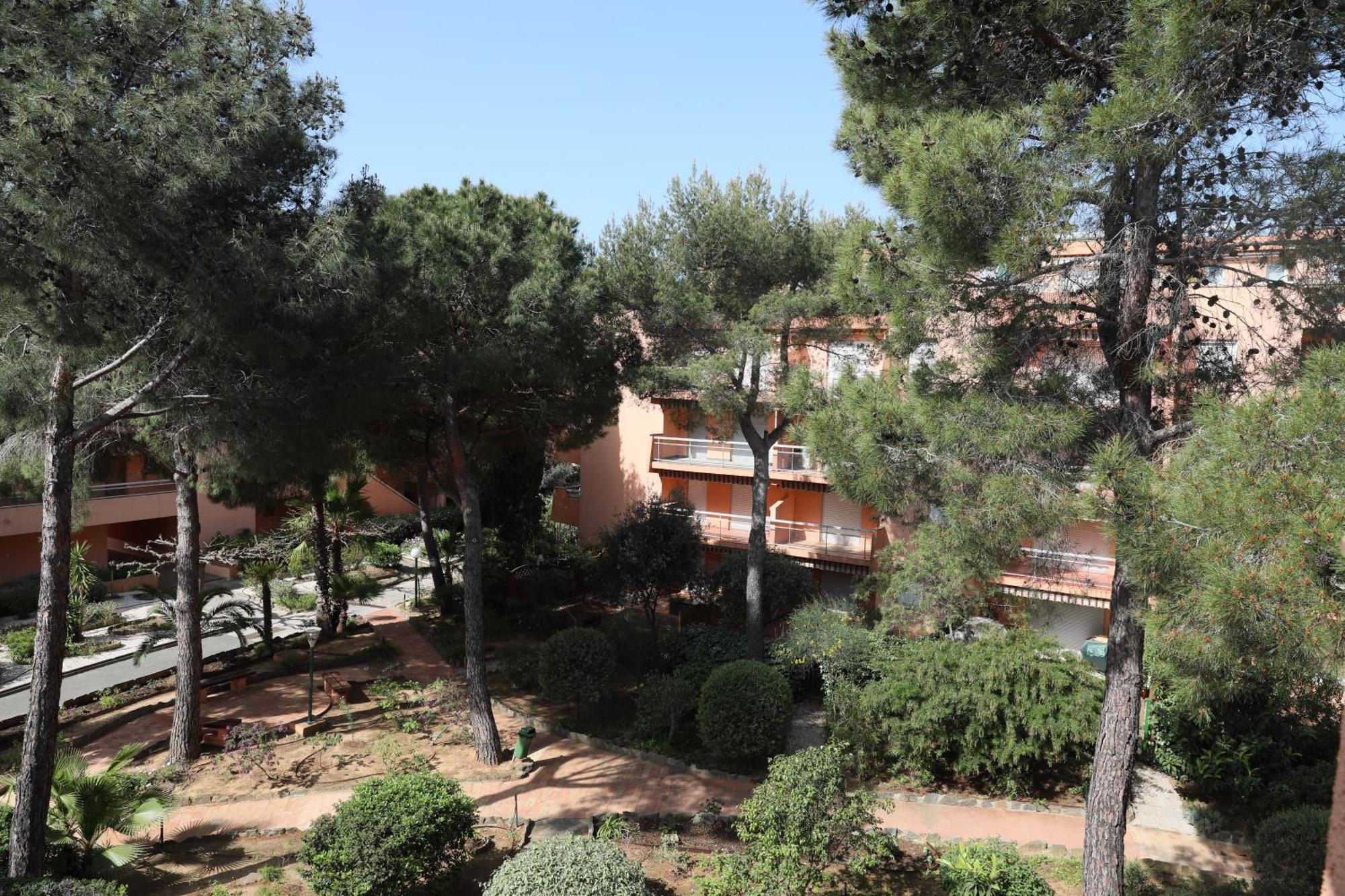 L'Amiraute 150M De La Plage Bormes-les-Mimosas Exterior foto